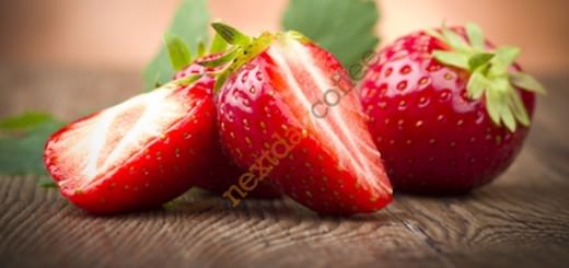 Monin Wild Strawberry
