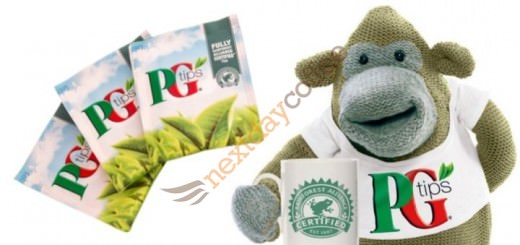 PG Tips Banner