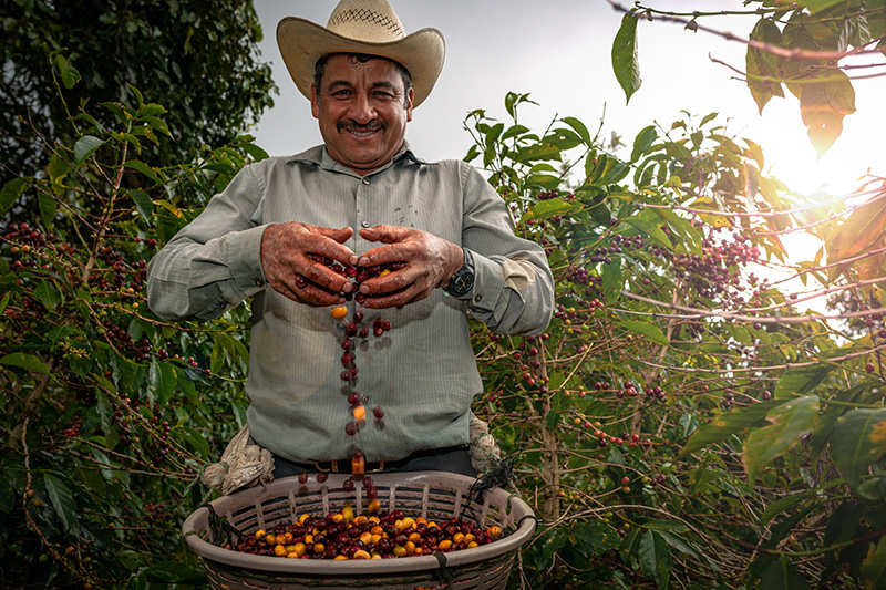 Fairtrade Coffee Beans