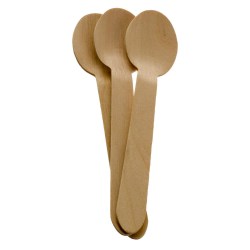 Biodegradable Wooden Spoons (100)