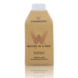 Water-In-Box-Strawberry-001