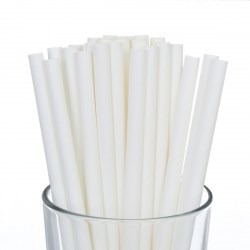 Biodegradable Paper Smoothie Straws - White (100)