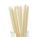 Compostable Bagasse Boba Straws (125 Pack)