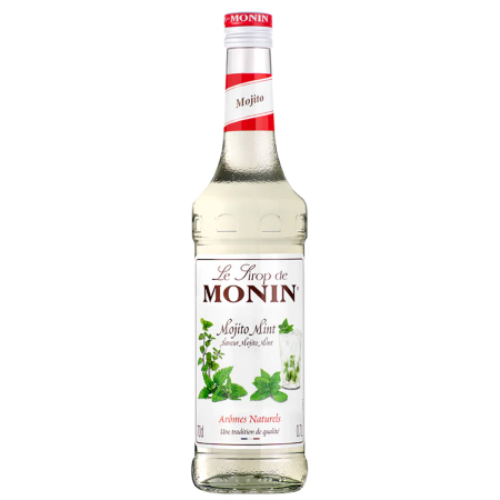 monin-mojito-mint-MOMO001-001.jpg_1
