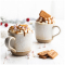 Lotus Biscoff Biscuit Crumbs (750g)