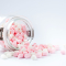 Halal Mini Marshmallow Toppings (160 x 1kg)