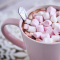 Halal Mini Marshmallow Toppings (160 x 1kg)