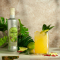 Polot 1882 Lime Tonic Concentrate (500ml)