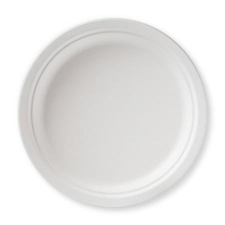 Biodegradable Disposable Plate 9