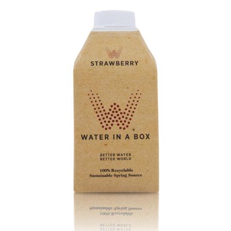Water-In-Box-Strawberry-001.jpg_1