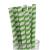 Bubble Tea Paper Straws - Green Stripe (250)